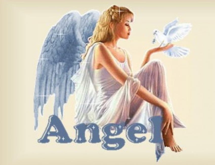 Engel und Taube, Engel, Taube HD-Hintergrundbild