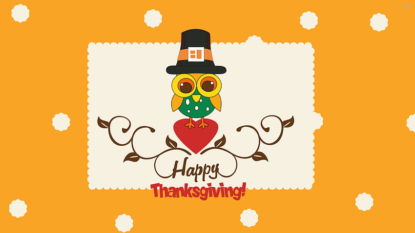 Cute owl wishing you Happy Thanksgiving - Holiday HD wallpaper