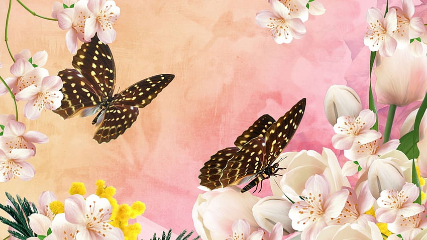 Spring Oh Spring, butterflies, summer, pink, flowers, spring, magnolias HD wallpaper