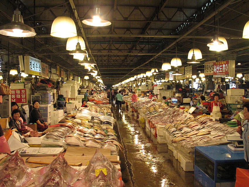 Marché de gros de la pêche de Noryangjin, marché aux poissons Fond d'écran HD