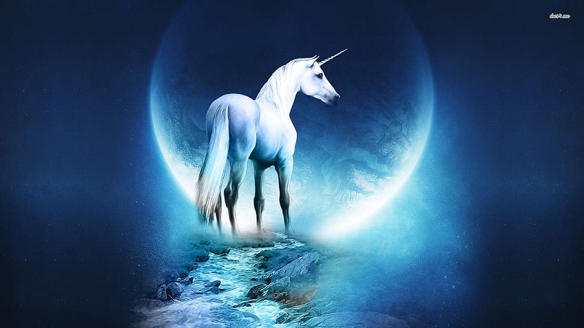 Unicorns, Realistic Unicorn HD wallpaper