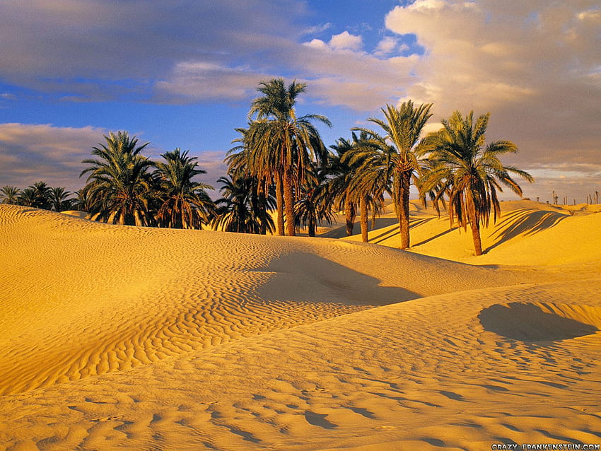 Deserts - Nature, Desert Scenes HD wallpaper