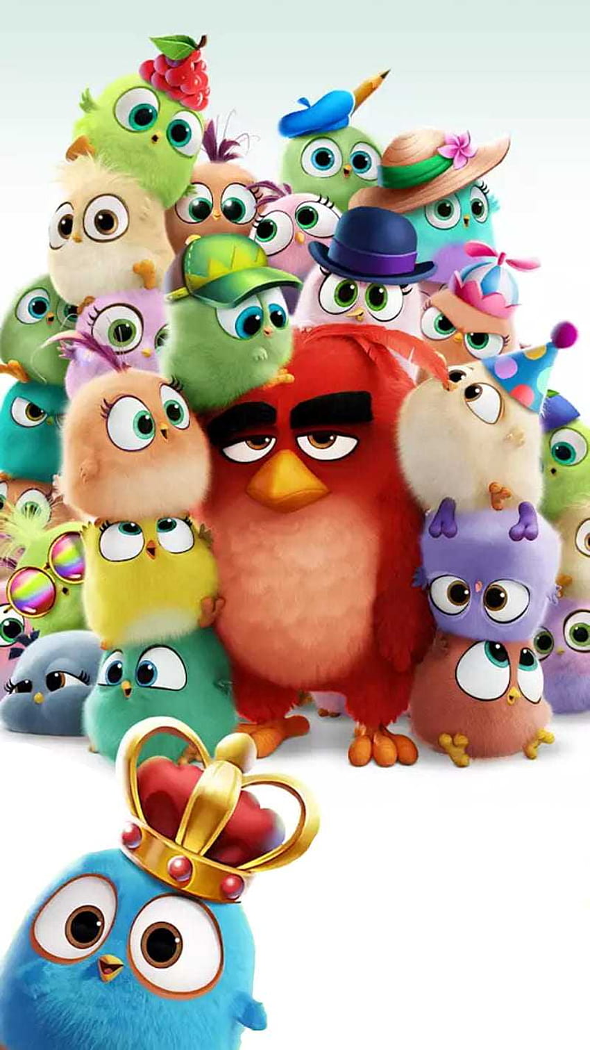 Angry Birds, süße Angry Birds HD-Handy-Hintergrundbild