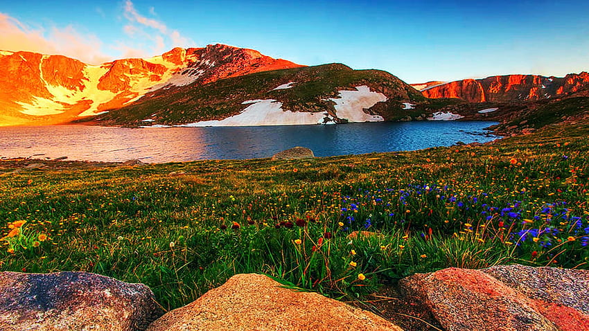 에반스 산의 야생화, 하늘, 콜로라도, 호수, 미국, 록키 산맥 HD 월페이퍼