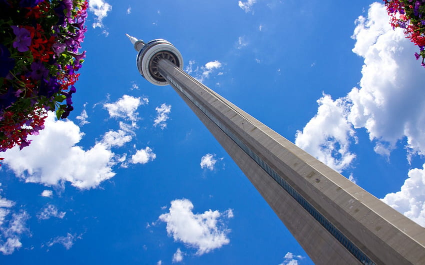Toronto's Landmark CN Tower, 토론토, CN, 타워, 캐나다 HD 월페이퍼