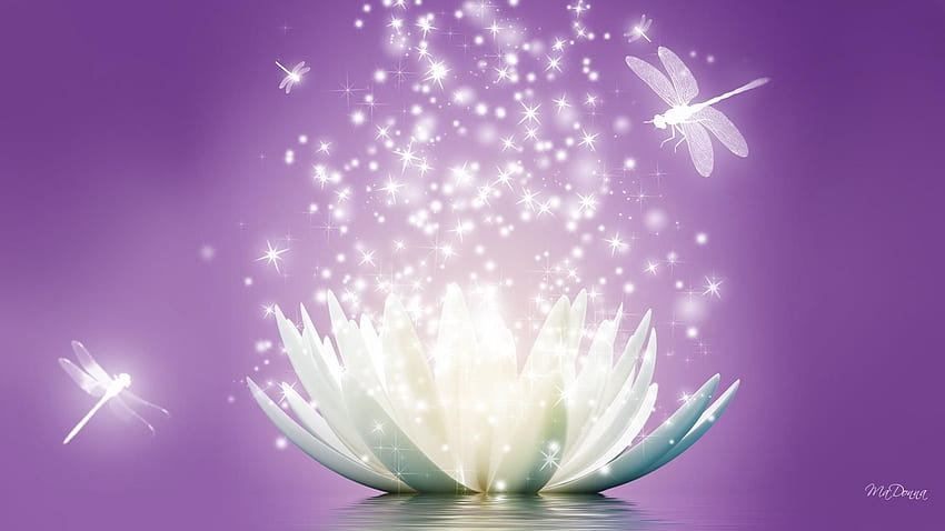 Flor de loto púrpura ancha. flor de loto, flor, naturaleza, loto de neón fondo de pantalla