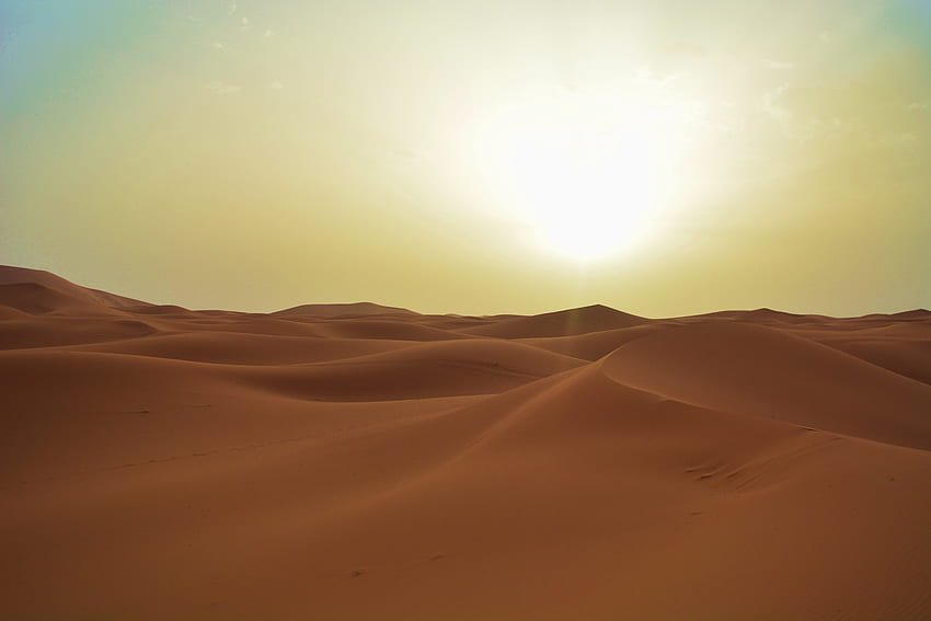 A Night Under the Stars in the Sahara Desert, Arabian Desert Night HD ...