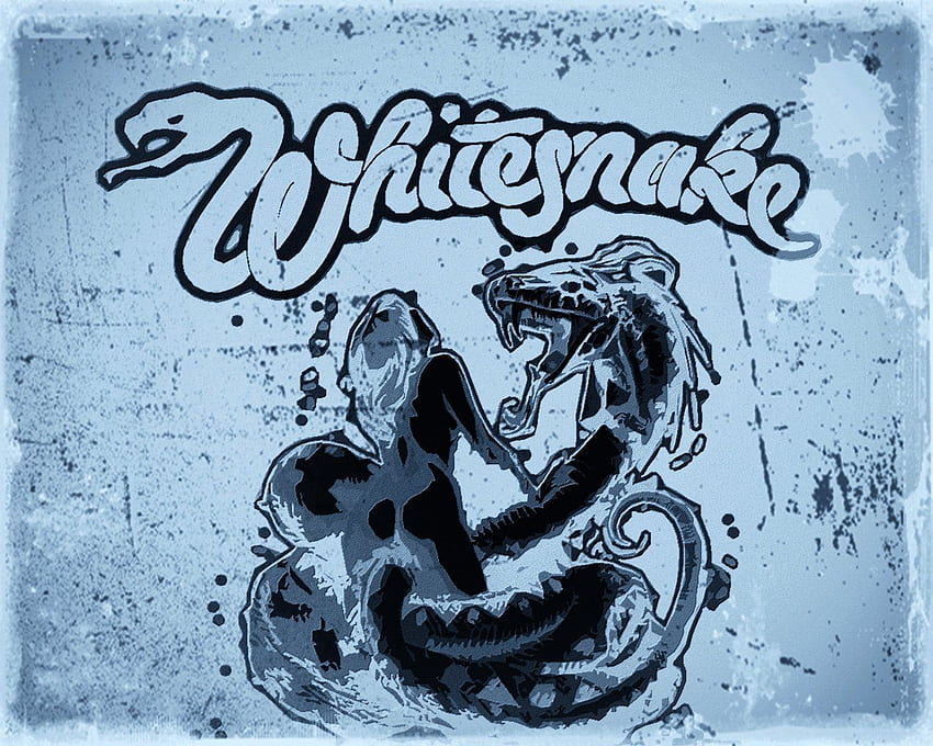 Whitesnake 1080P 2K 4K 5K HD wallpapers free download  Wallpaper Flare