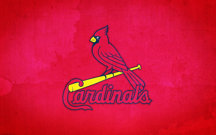 St Louis Cardinals Wallpaper 5185 960x800 px  St louis cardinals baseball, Cardinals  wallpaper, St louis baseball
