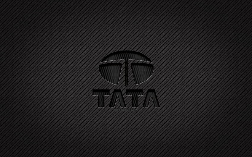 Tata carbon logo, , гръндж изкуство, карбонов фон, творчески, Tata черно лого, марки, Tata лого, Tata HD тапет
