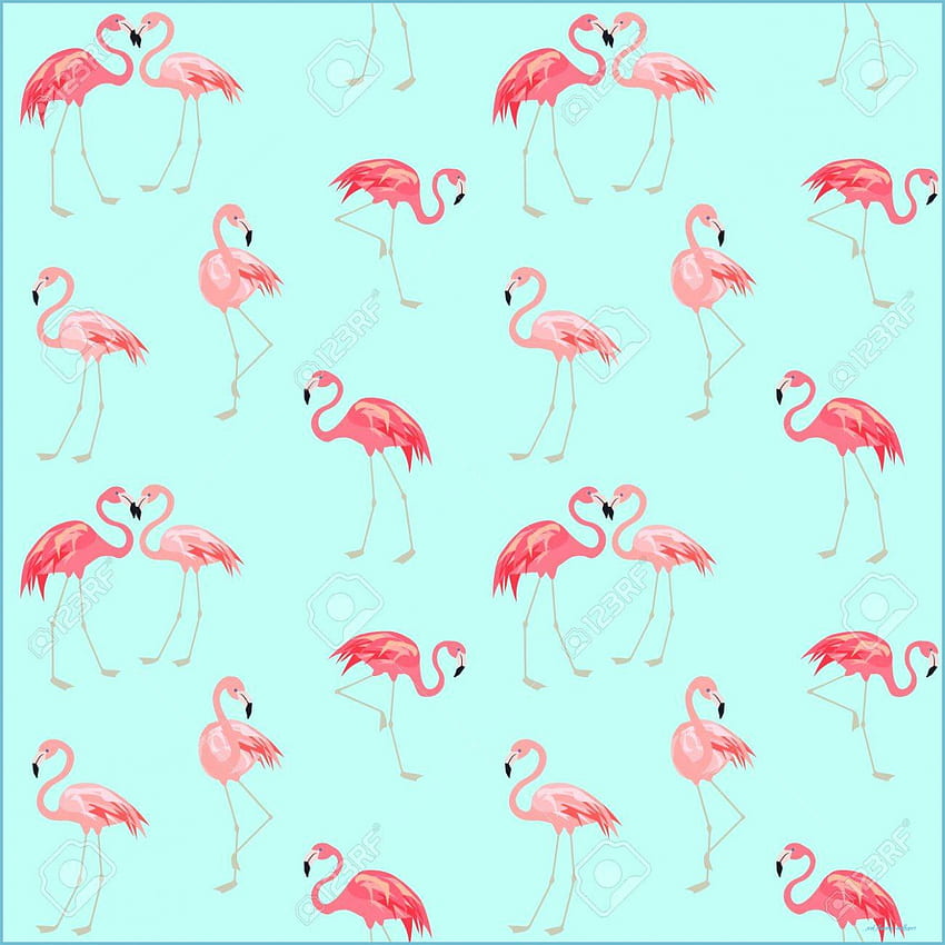 With Cute Pink Flamingo - Pink Flamingo, Pink Flamingo Laptop HD phone wallpaper