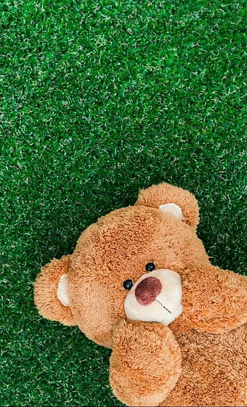 Teddy Bear HD phone wallpaper | Pxfuel