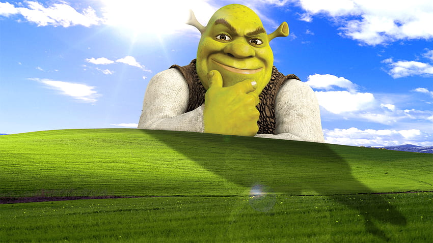 Shrek Mèmes , Mème Fond d'écran HD
