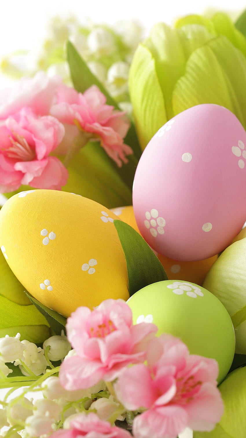 Latest Easter iPhone HD Wallpapers  iLikeWallpaper