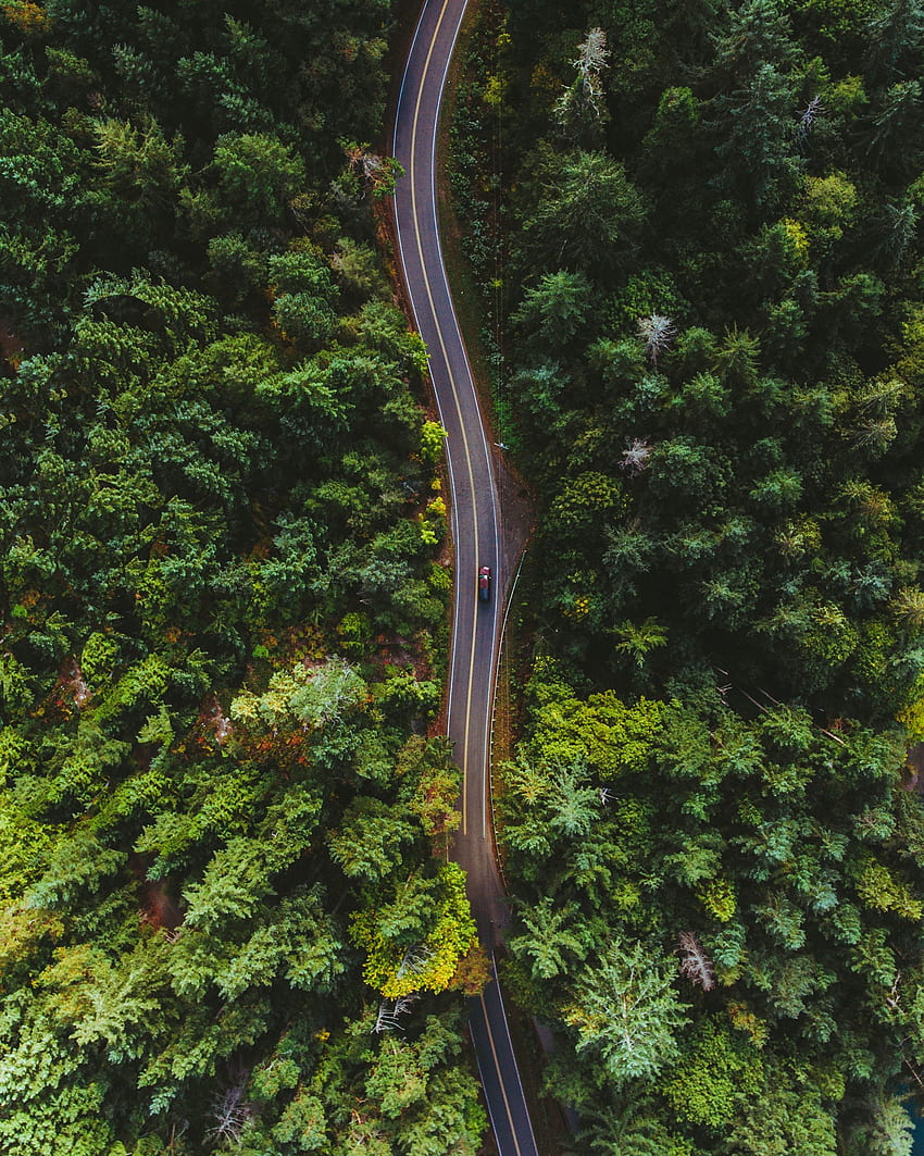 Nature, Trees, View From Above, Road, Markup, Car HD phone wallpaper