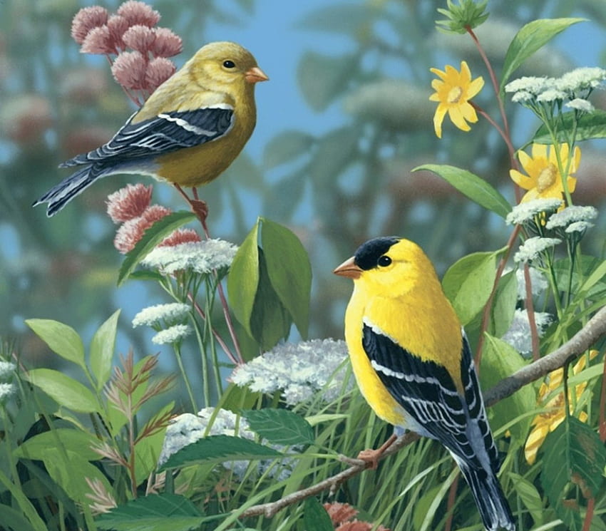 pintura, flores, pájaros, primavera, amarillo fondo de pantalla