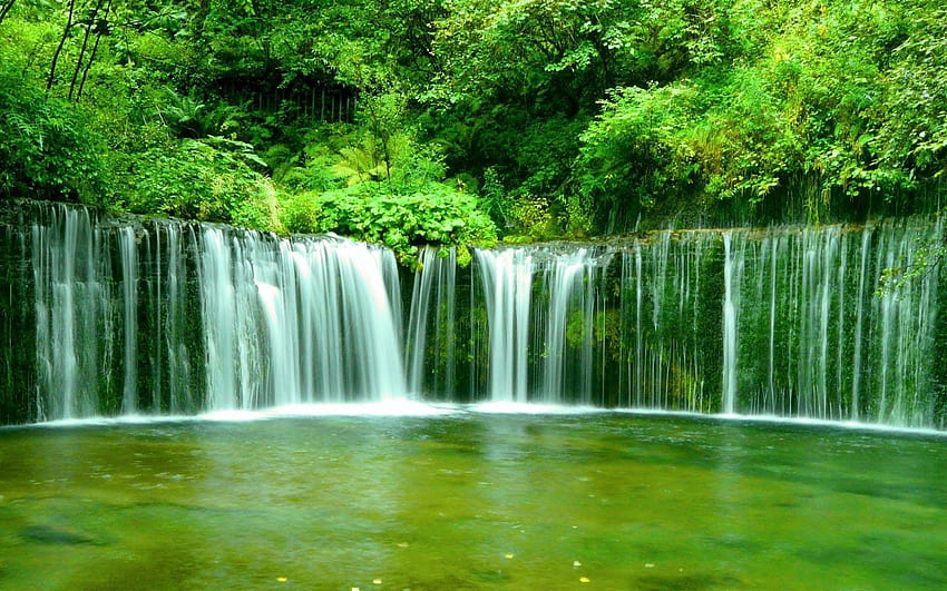 Beautiful waterfall in green forest in jungle, Rainforest Waterfall HD wallpaper