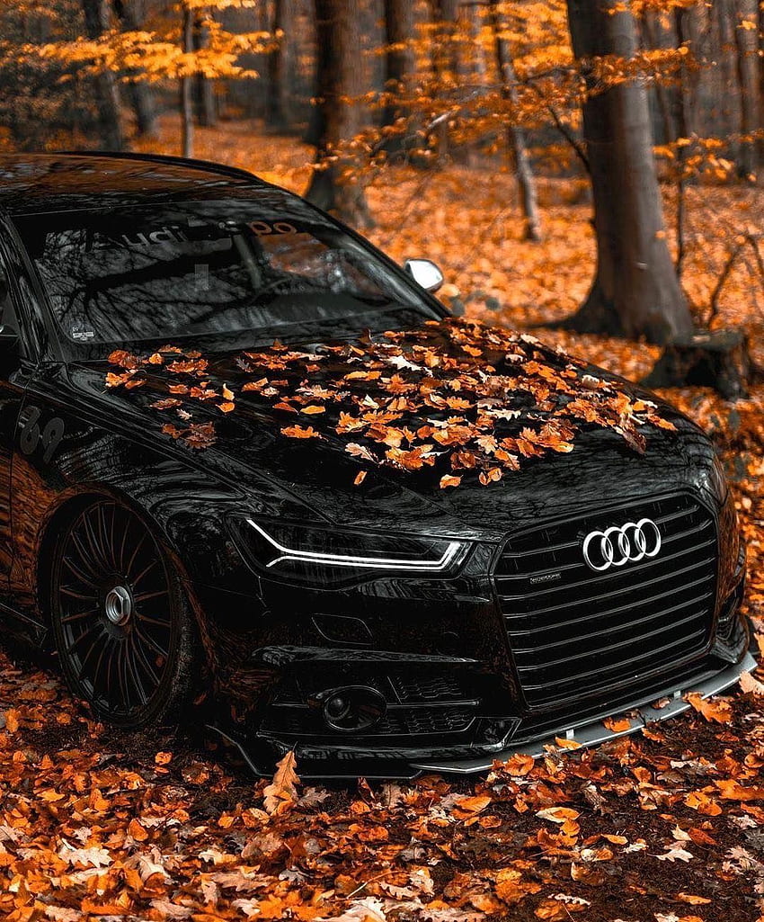 การถ่ายในฤดูใบไม้ร่วงของ Audi RS6 ที่มืด Audi rs6, รถในฝัน, Audi, Custom Audi วอลล์เปเปอร์โทรศัพท์ HD