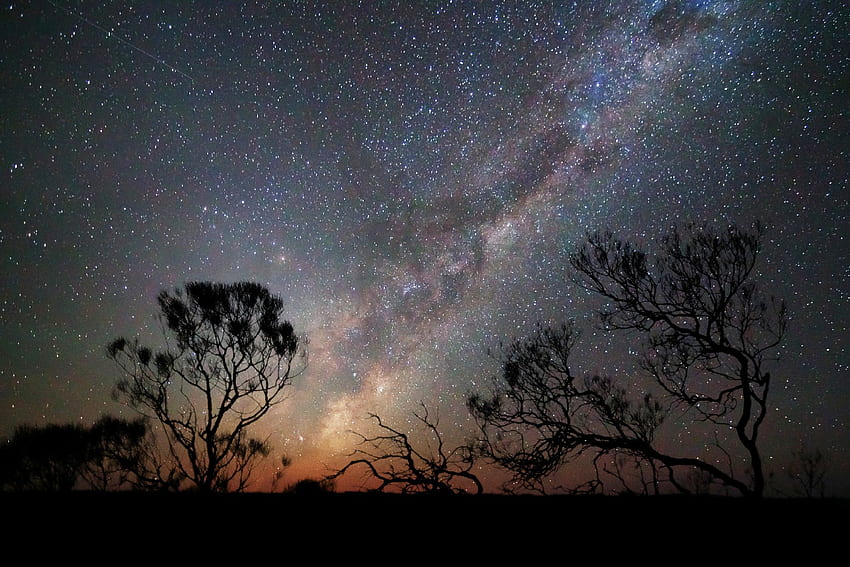 The Milky Way, trees, stars, sky, nature HD wallpaper | Pxfuel