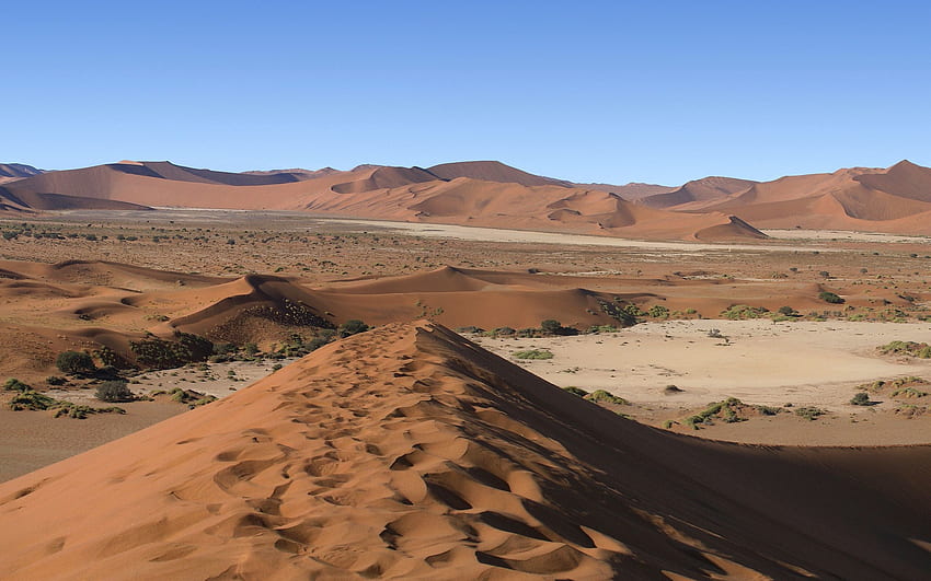 Nature, Sand, Desert, Hills, Traces HD wallpaper