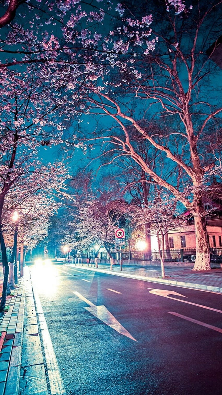 Japanese Street Cherry Blossom Night Scenery iPhone 8, Japanese Blue HD phone wallpaper