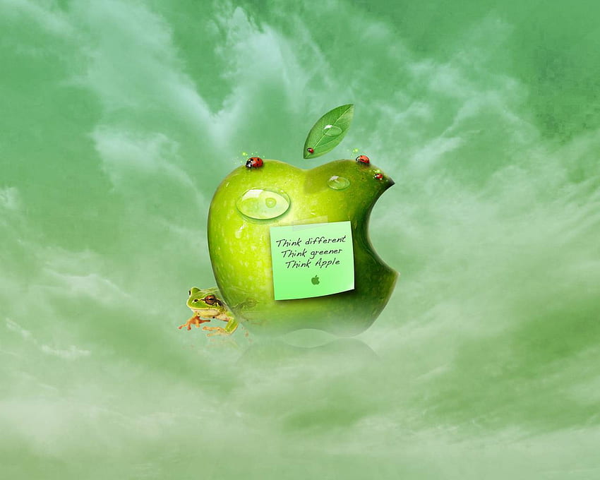 Myśl inaczej Myśl bardziej ekologicznie, biedronka, zieleń, jabłko, komputer, żaba Tapeta HD
