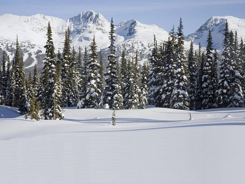 Spearhead Range, Whistler, British Columbia, Canada, trees, sky, snow, mountain HD wallpaper