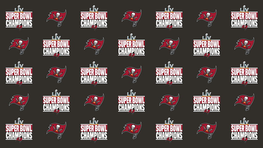 Tampa Bay Buccaneers Zoom Backgrounds