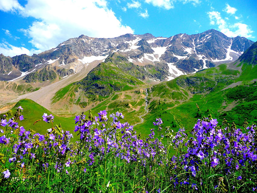 *** Pegunungan Alpen Berbunga ***, biru, langit, alam, bunga, pegunungan Wallpaper HD