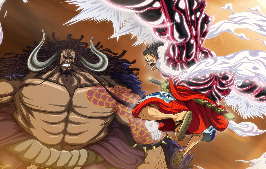 One Piece, anime, fight, captain, asian, manga, oriental, asiatic ...