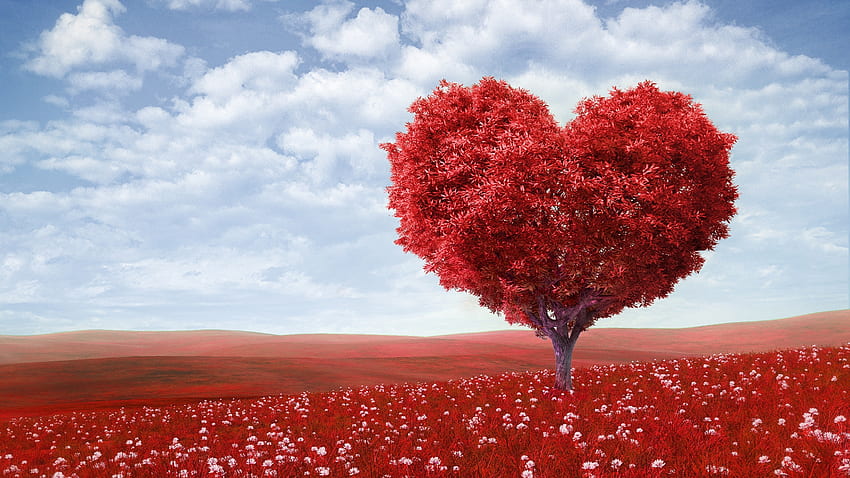 Rumput, Cinta, Kayu, Pohon, Lapangan, Romantis, Hati, lompat Wallpaper HD