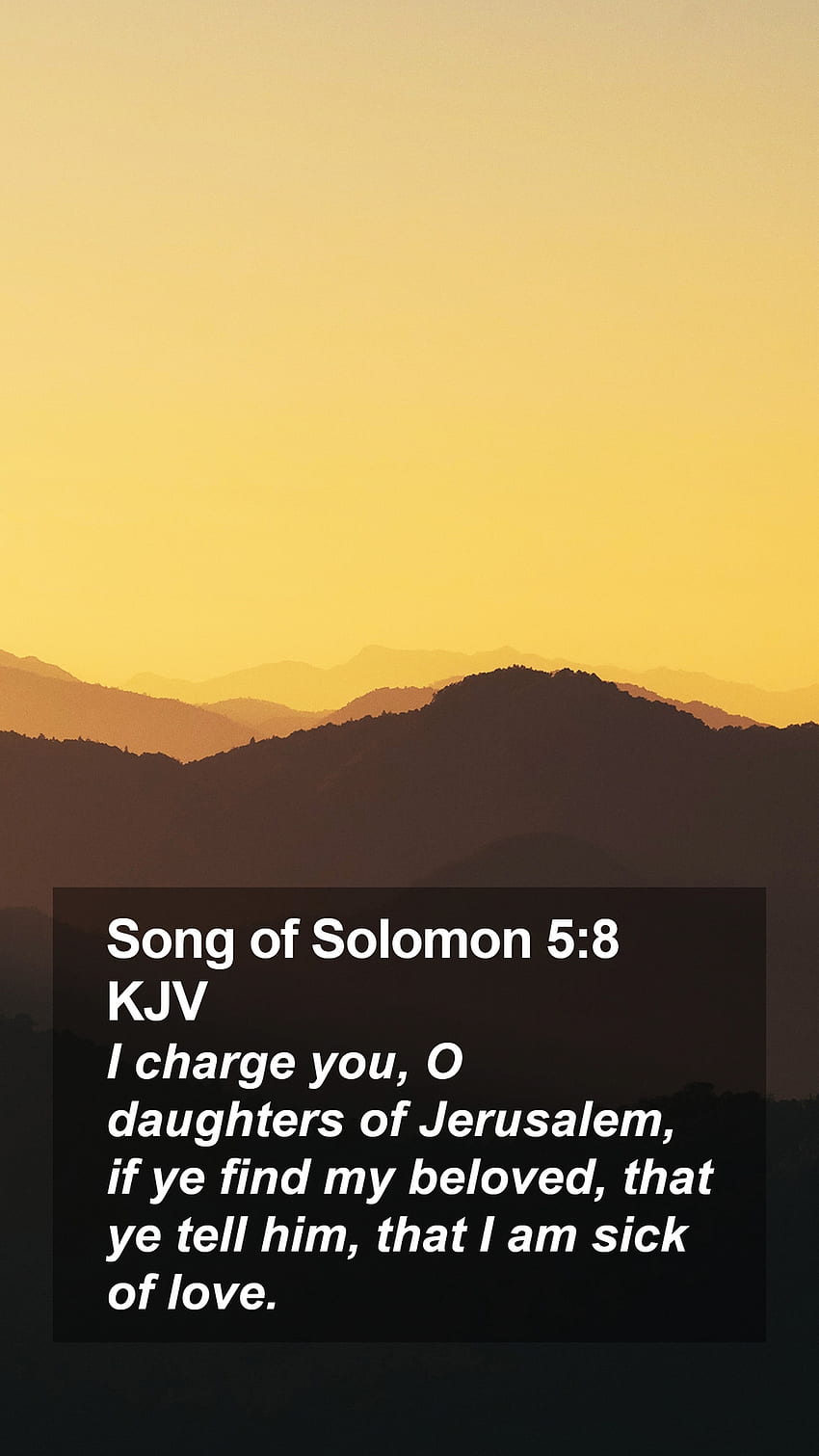 Song of Solomon 5:8 KJV Mobile Phone - I charge you, O daughters of Jerusalem, if ye, Christian Song HD phone wallpaper