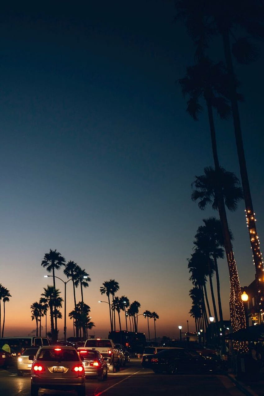 iPhone : Palm trees Sunset iPhone - Art, California Beach HD phone wallpaper
