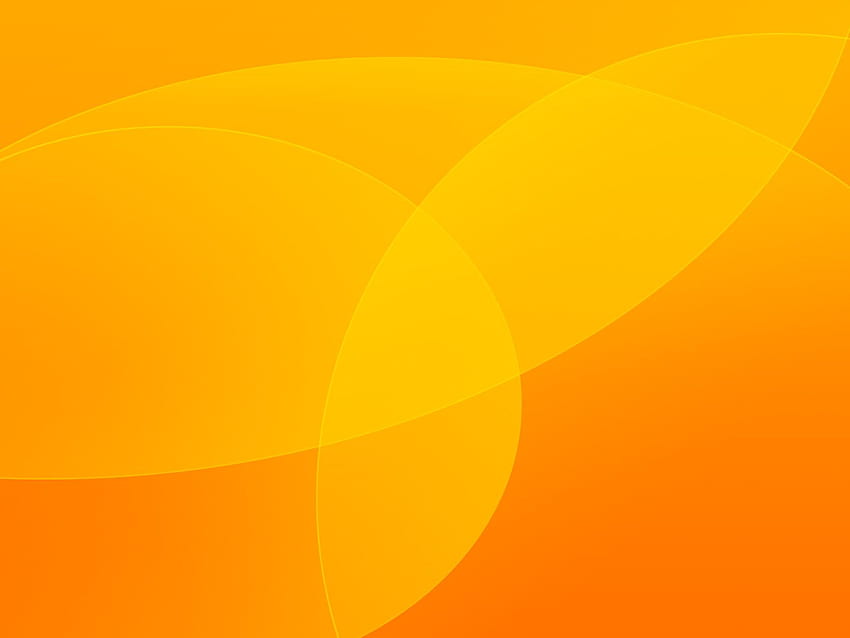 Orange Color [] for your , Mobile & Tablet. Explore Orange Background. Orange , Orange Splash HD wallpaper