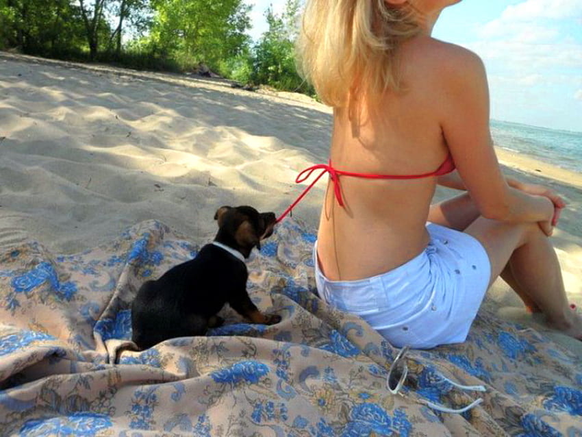 การฝึกลูกสุนัขโดย Jerry สุนัข ลูกสุนัข ทราย ผู้หญิง ดึง ผูก ชายหาด วอลล์เปเปอร์ HD