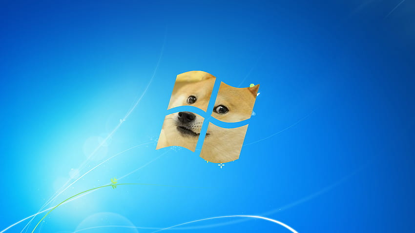 Doge Background . Banana Doge , Majestic Doge and MLG Doge, Windoge HD wallpaper