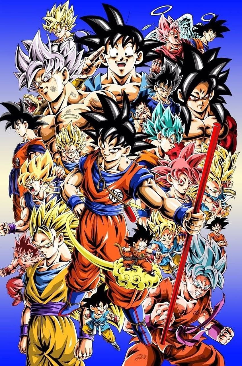 Goku In Every Form, Goku All Forms HD phone wallpaper