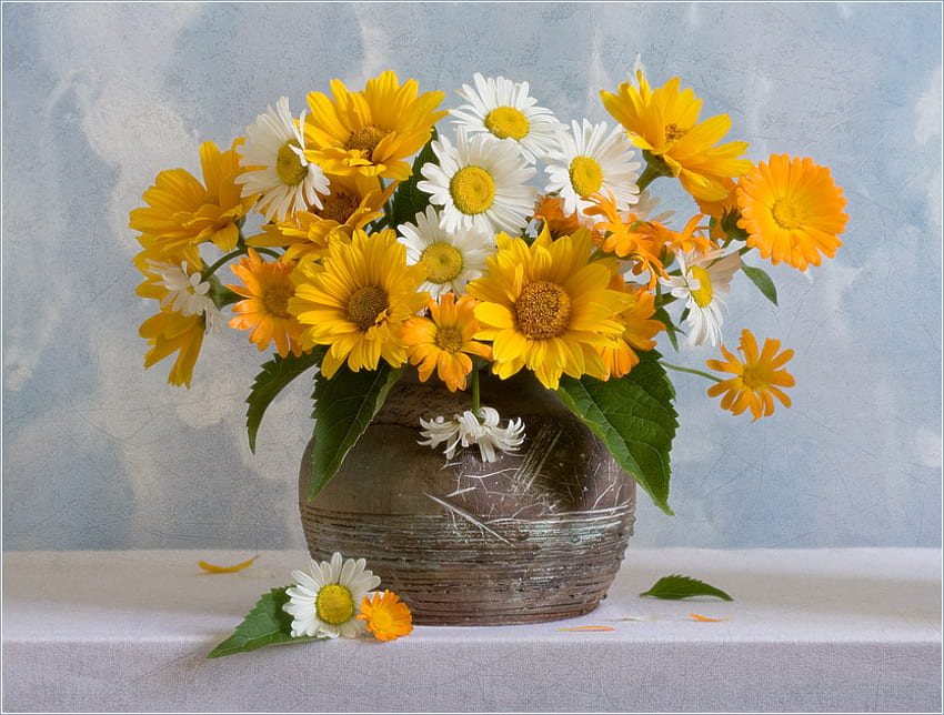 buquê, branco, grafia, vaso, beleza, margaridas, natureza morta, amarelo, flores, buquê de flores, harmonia papel de parede HD