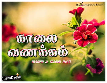 Happy Ganesh Chaturthi festival quotes . JNANA. Telugu Quotes. English ...