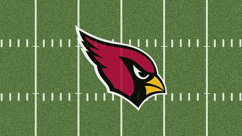 Arizona Cardinals FanArt Wallpaper! : r/AZCardinals