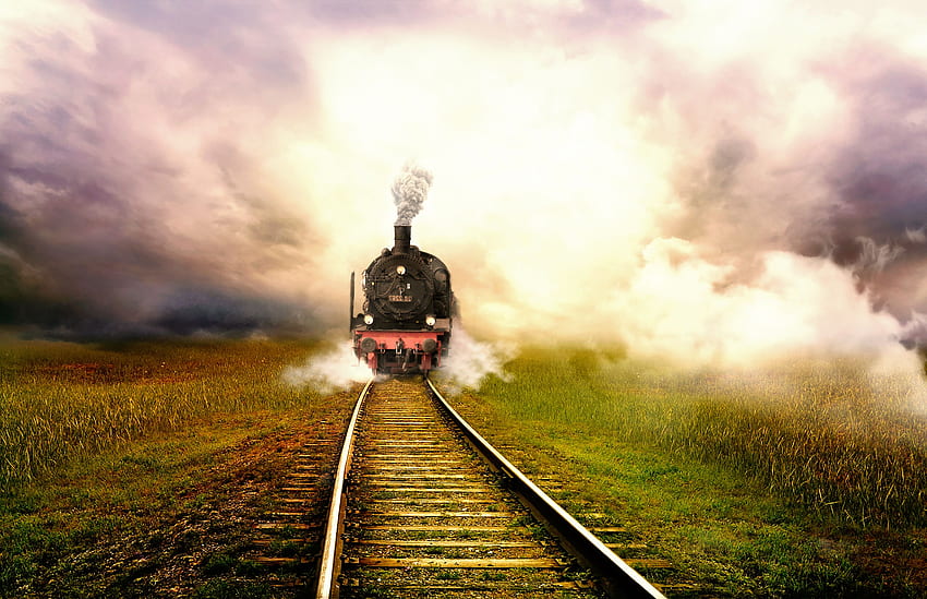 Rails Fog Trains Grass Railroads, Train Tracks HD wallpaper