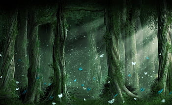 Enchanted Forest wallpaper  1920x1080  51371  Forest wallpaper Forest  background Fairy wallpaper