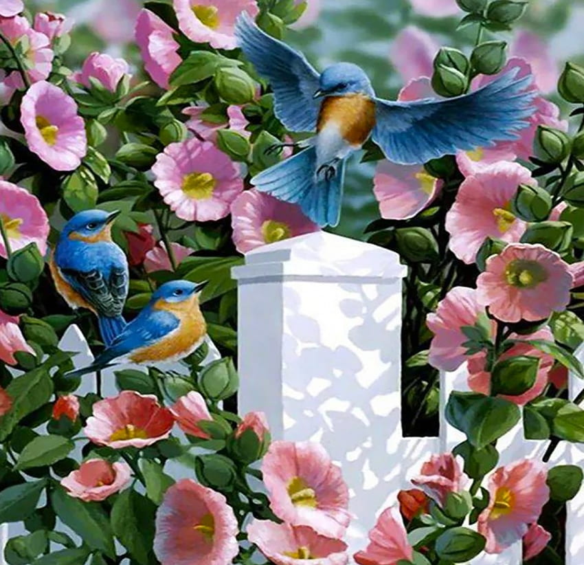 ✿✿, blue, white, birds, song, art, galore, spring, digital, blossoms, fence, paint HD wallpaper