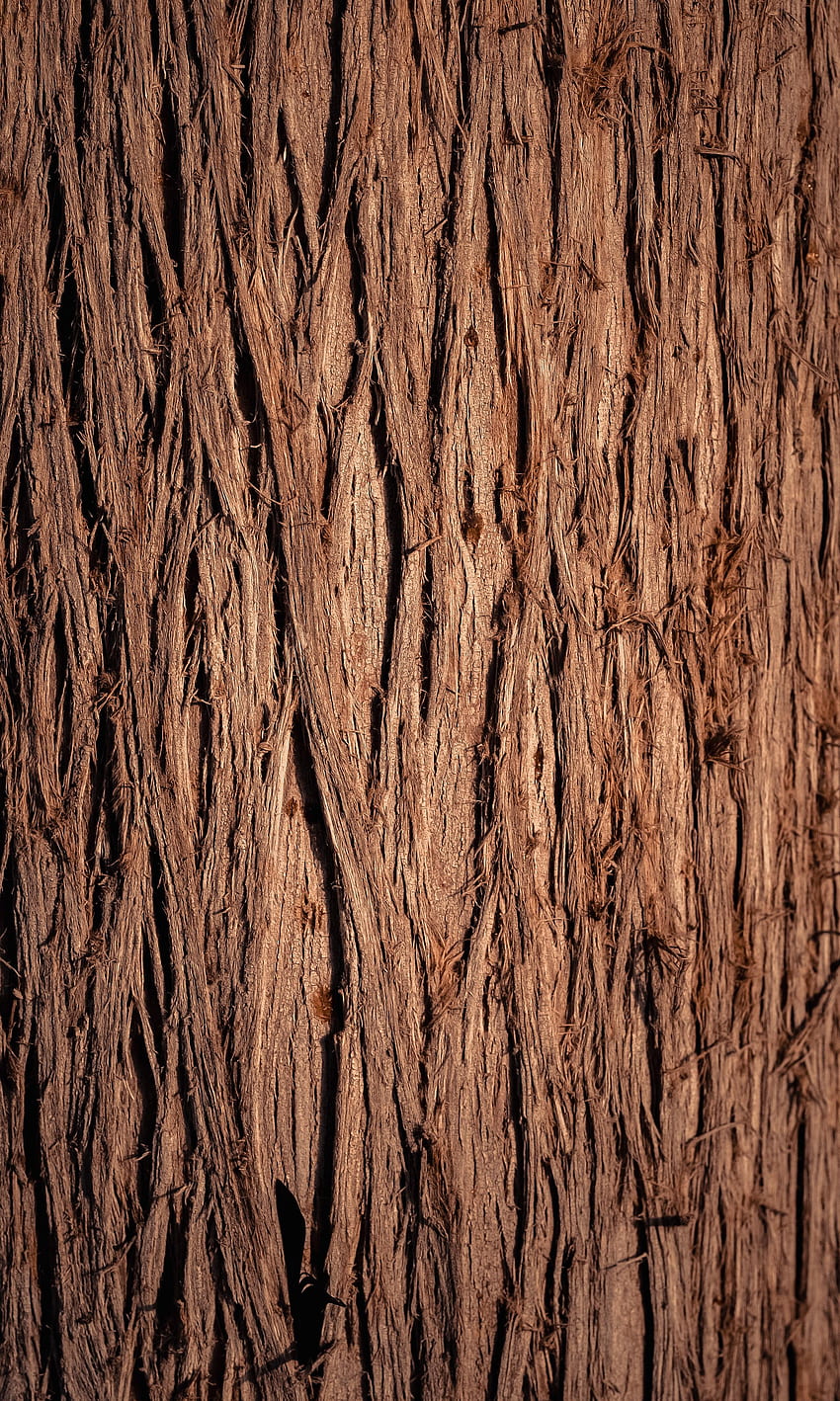 Drewno, Drewniane, Drzewo, Tekstura, Tekstury, Kora Tapeta na telefon HD