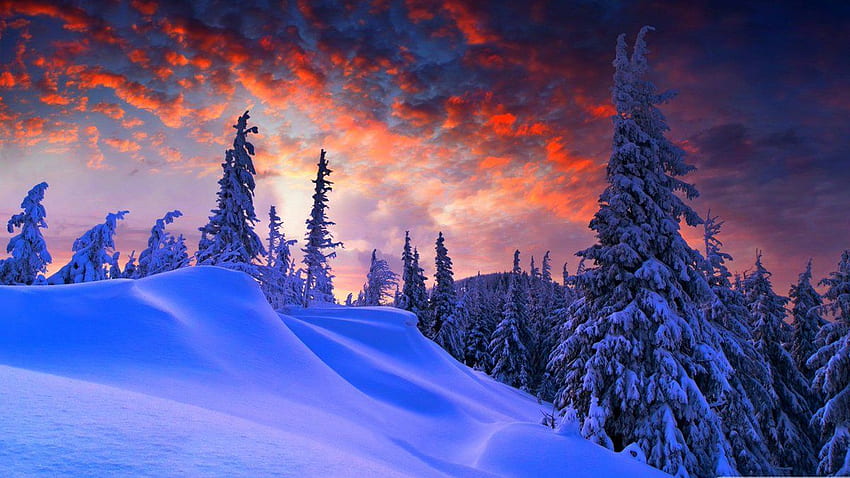 LovelyTab - New winter are here! Here you will find beautiful of winter time, for all of you cold weather lovers. Hope you enjoy :) HD wallpaper