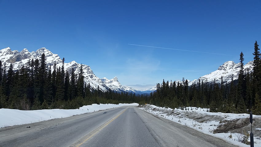 Alam, Albert, Alberta, Jalan Raya, Icefields Parkway Wallpaper HD