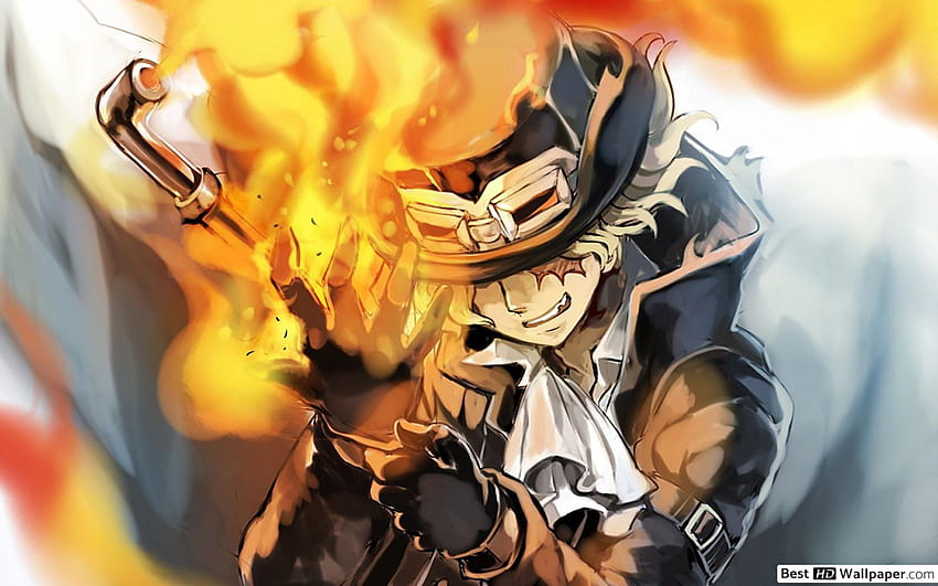 One Piece - Sabo, Fire Fist, Ace Power HD wallpaper