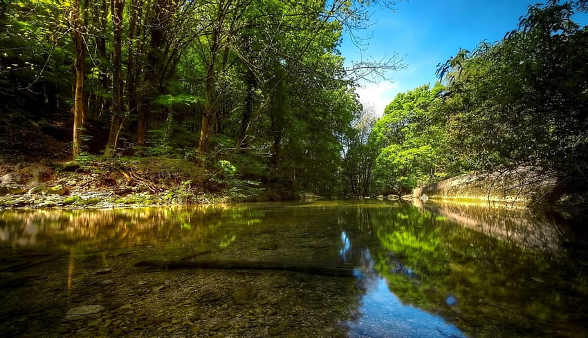 River In The Heart Of Forest, blue sky, river, crystal clear water, trees, beautiful, forest, reflections HD wallpaper