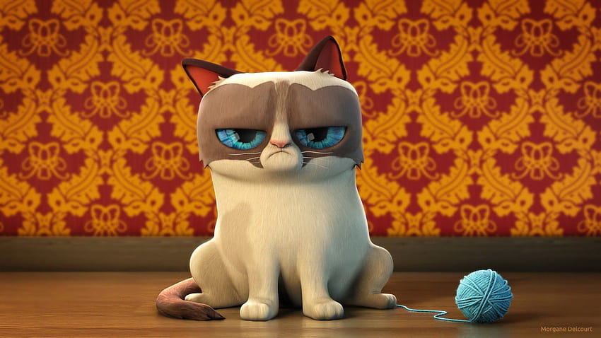 Citação de meme de gato engraçado humor mal-humorado (112)., Gato irritado papel de parede HD