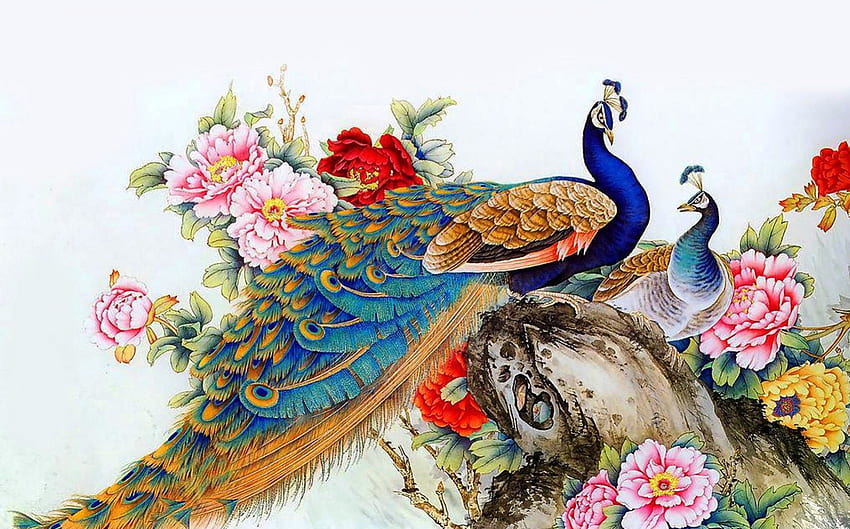 Peacocks, birds, art, nice HD wallpaper